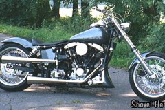 20018gr