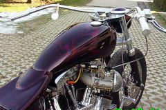 bild121
