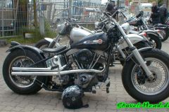 Pic261