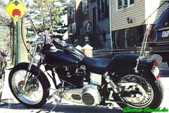 Leserbikes 2001
