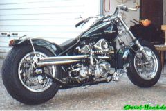harleyneugr