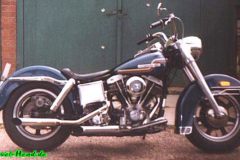 hogs001gr