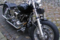 Harleygr