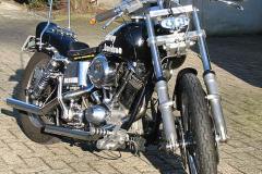 harleymatzegr