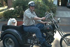 dog-trikegr